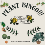 Yellow Rose Soirees - FTW