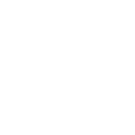 P-sg BV