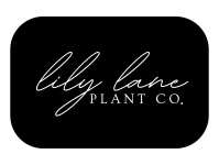 Lily Lane Plant Co.