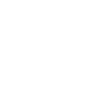 Painted Palms LTD