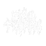 Dire Thorns