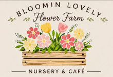 Bloomin Lovely Flower Farm
