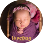 LoveBug ❤️ Photos