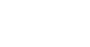 Search Engine
