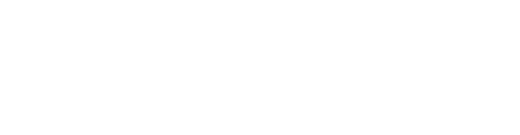 AI Council