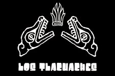 Los Tlacuaches