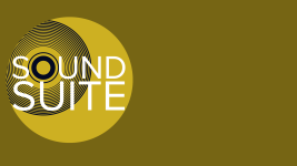 SOUND SUITE™️