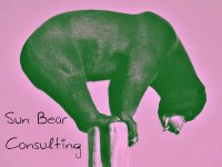 Sun Bear Consulting Ltd.