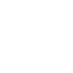 Wild Food People