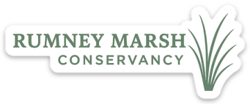 Rumney Marsh Conservancy