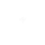 Hive on the Hollow