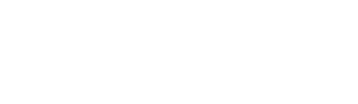 INSOMNIA - THE GAMING FESTIVAL