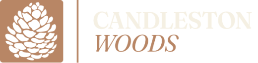 Candleston Woods