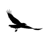 Corvus Consort