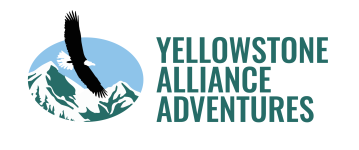 Yellowstone Alliance Adventures