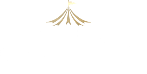 Circus Cortex