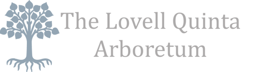 The Lovell Quinta Arboretum