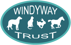 Windystock
