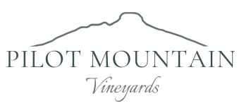Weddings at Pilot Mountain Vineyards