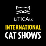 Kiticat Shows
