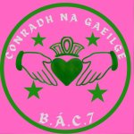 Craobh Bhaile Átha Cliath 7, Conradh na Gaeilge