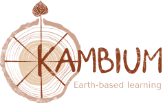 Kambium.earth