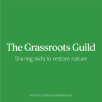 The Grassroots Guild