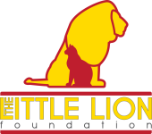 The Little Lion Foundation