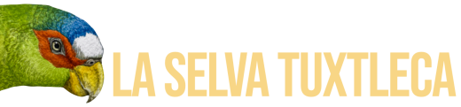 HELIOMASTER
