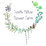 South Milton Flower Farm