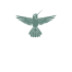 Colibri Spirit Festival 2026