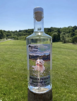 Phucked Phoenix Gin