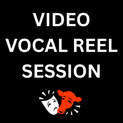 VIDEO VOCAL REEL SESSION (1 HOUR) image