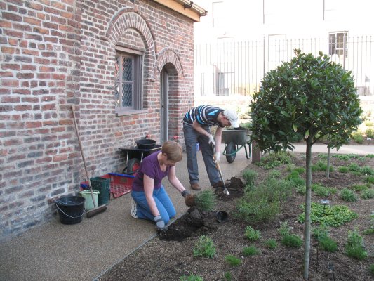 Museum Membership - Volunteer image