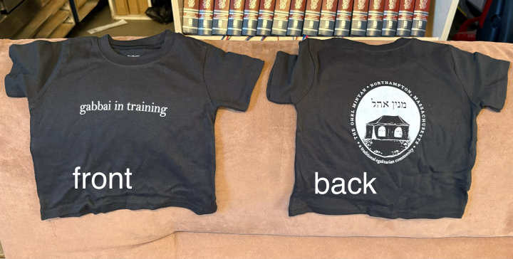 12 month t-shirt image