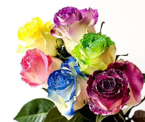 White Rose 3 Stem Glitter Rainbow - RANDOMLY ASSORTED image