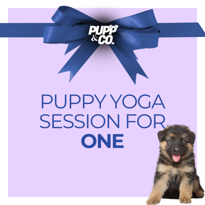 Puppy Yoga Gift Voucher