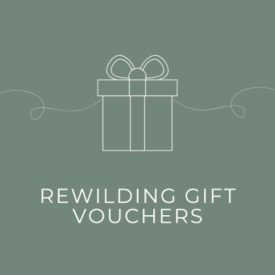 £30 E-Voucher image
