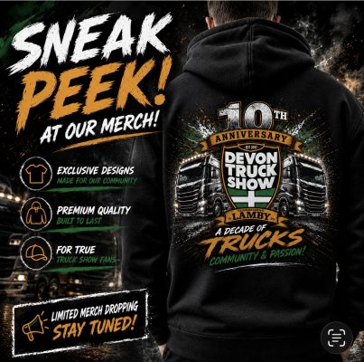 DTS 10th Anniversary Hoodie image