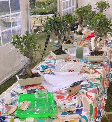 Bonsai Treehouse Workshop image