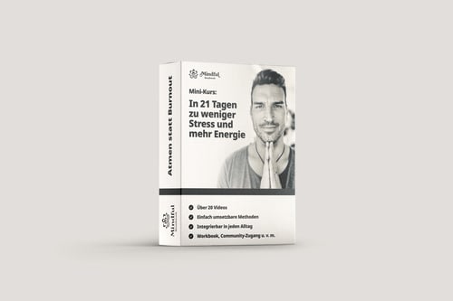 Atmen statt ausbrennen - In 21 Tagen zu mehr Energie und weniger Stress image