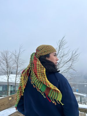 Kurdistan Tuch/Schal image