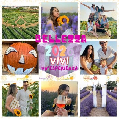 🎁 Buono regalo campi 🌻💜🎃🍎 + aperitivo 🧺🍷 - 👤 Per 1 persona image