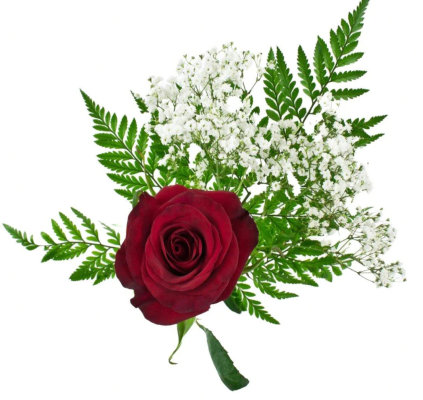 Classic Single Red Rose image