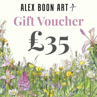Gift Voucher £35 image
