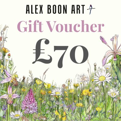 Gift Voucher £70 image