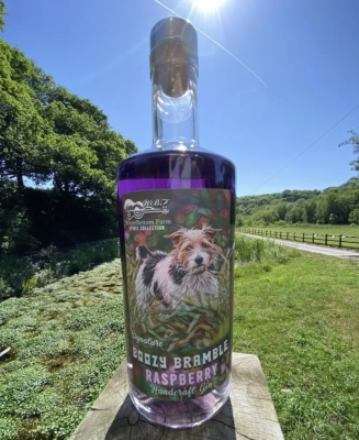 Boozy Bramble Raspberry Gin