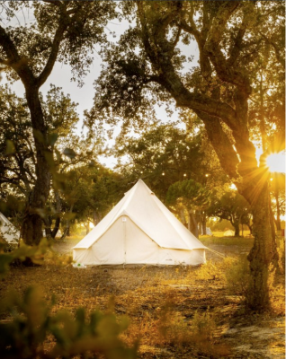 Shared Glamping w/ Twin Bed (1 person) image
