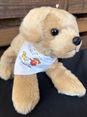 Sandy Stuffies image