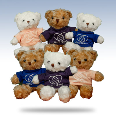 Teddy Bear - 30cm - Includes Postage & Packaging image